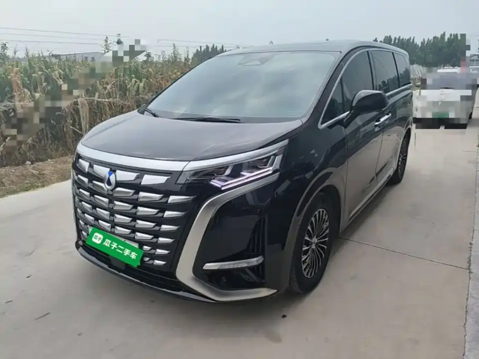 Denza D9 DM-i 1050 Premium 2024