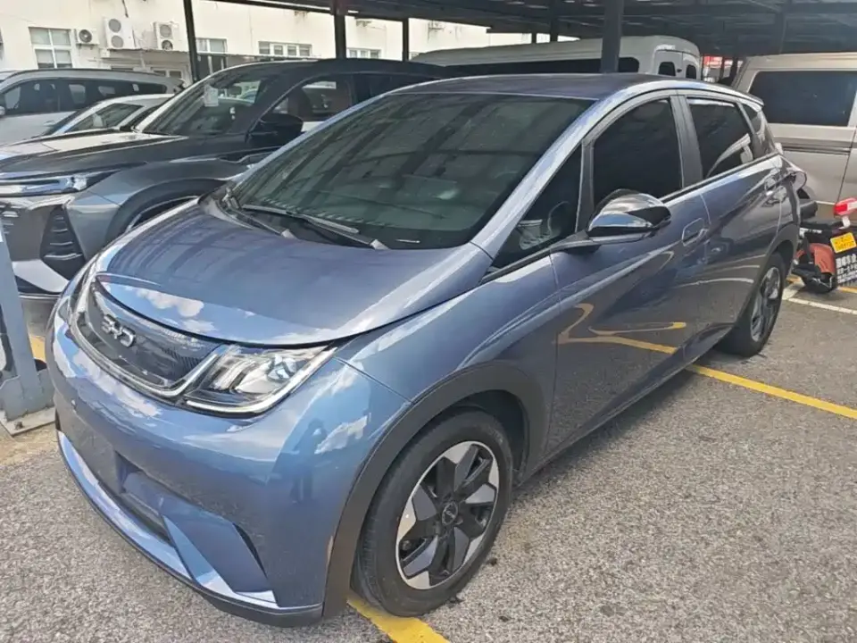 BYD Dolphin Glory Edition 420km Freedom Edition 2024