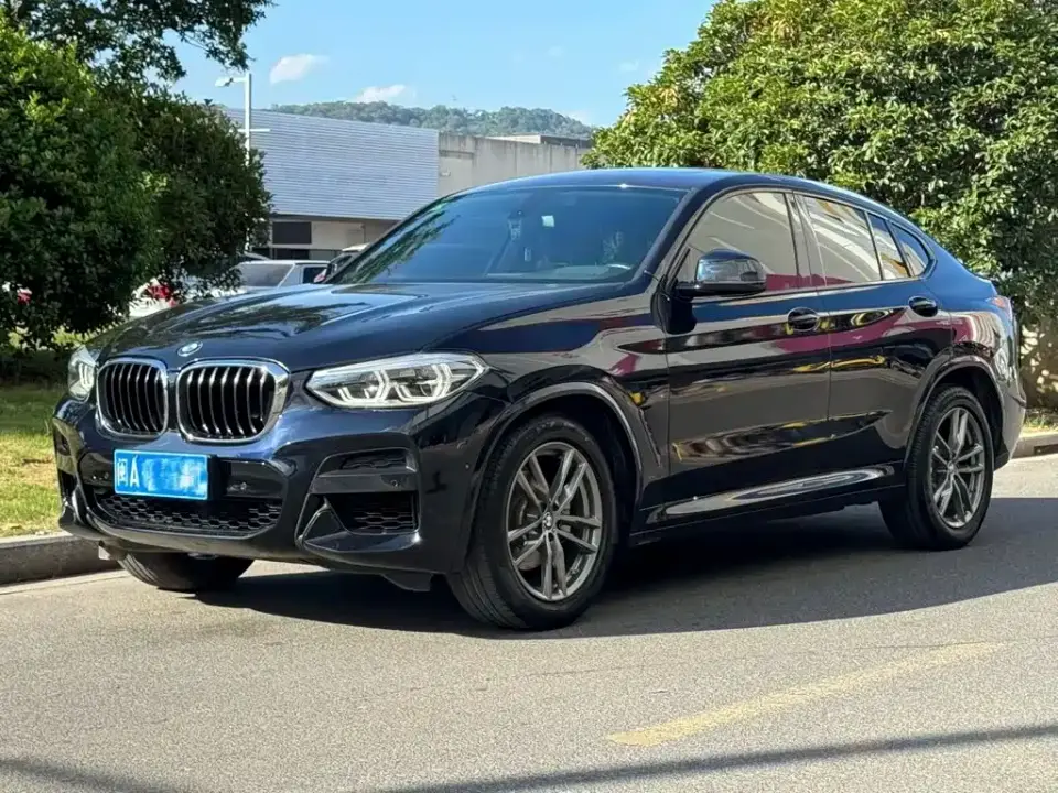BMW X4 xDrive25i M Sport Package 2019