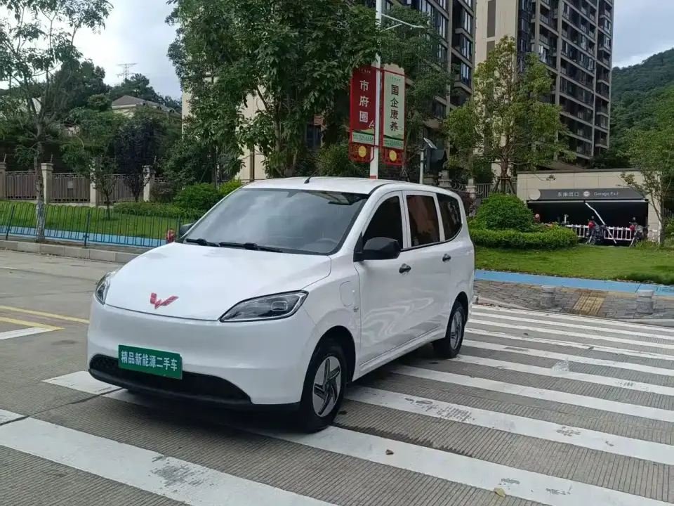 Wuling Motors Wuling Hongguang New Energy Pure Electric 300KM Standard 2024