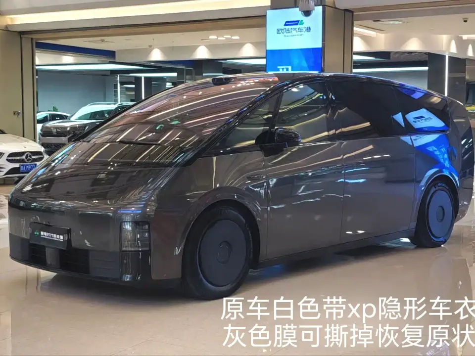 Li Auto MEGA Model Home Family Special Edition 2025