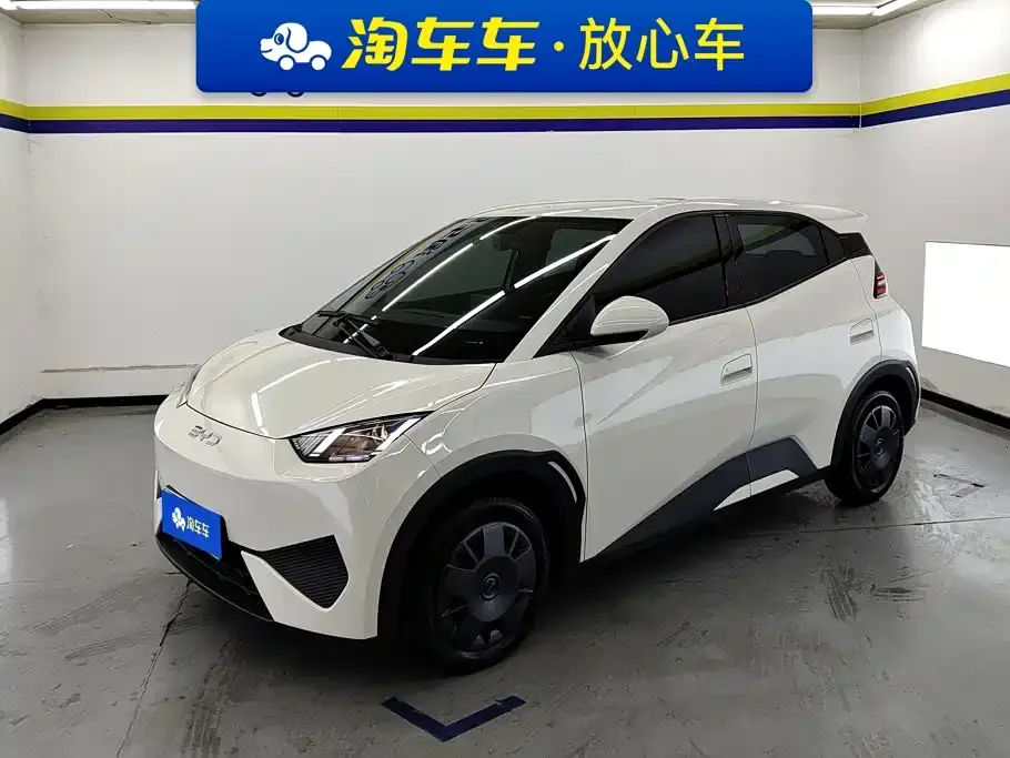 BYD Seagull Smart Drive Edition 305km Vitality Version 2025