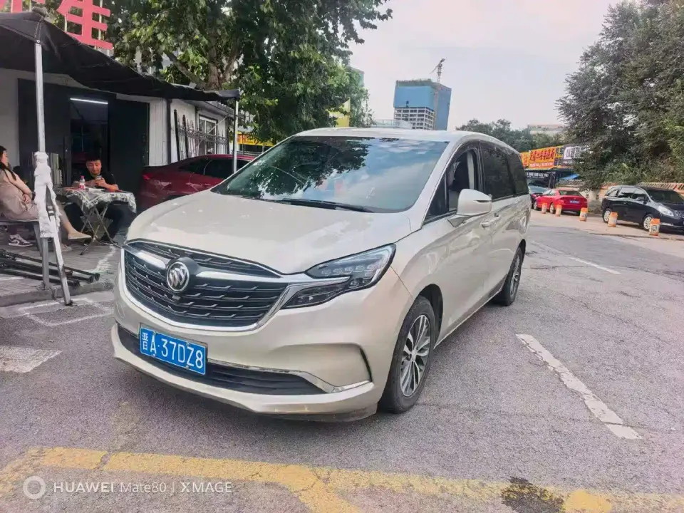Buick GL8 Land Business Class 652T Premium 2021