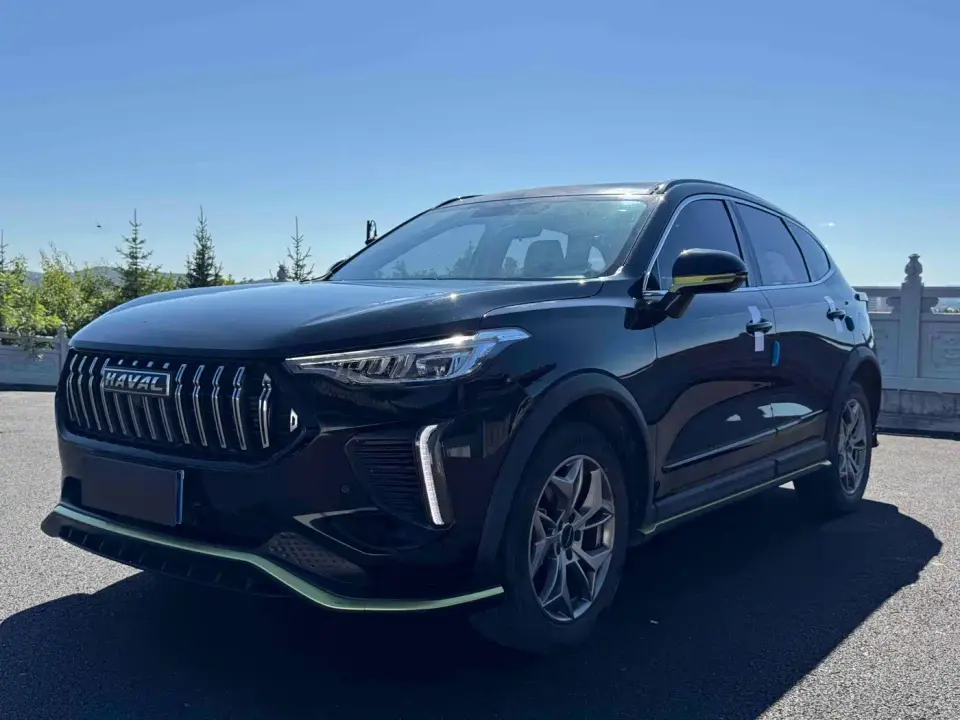 Haval Chitu Power Edition 1.5T Purple Copper Rabbit 2022