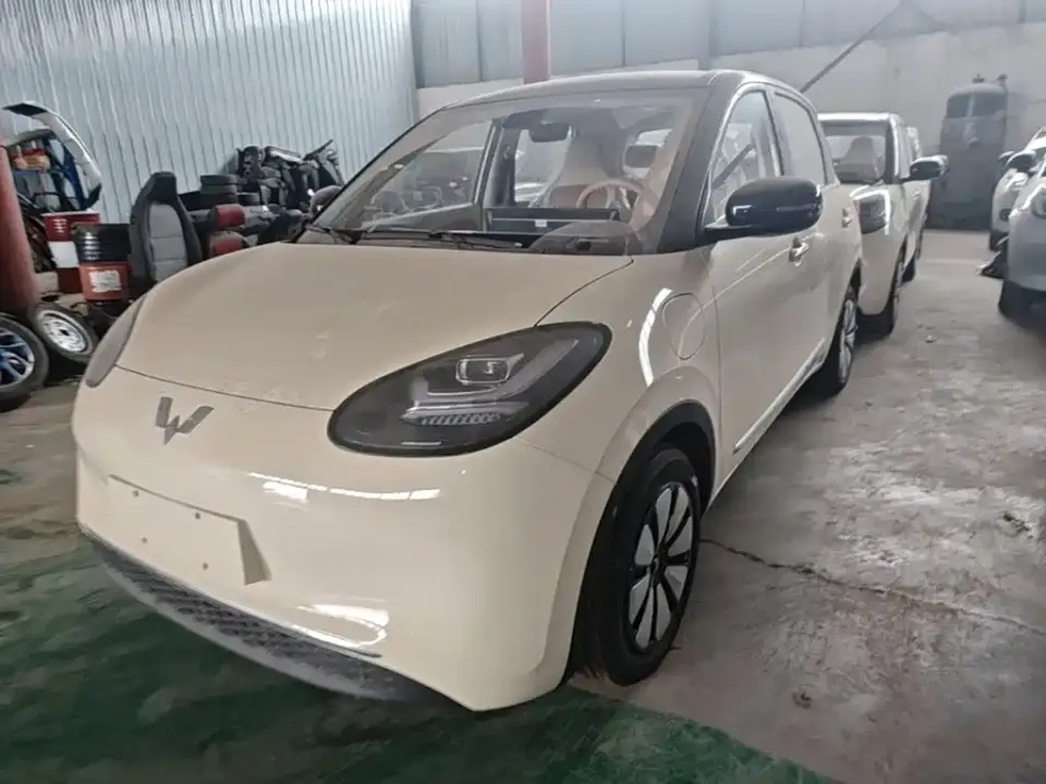 Wuling Motors Wuling Bingo Model 333km Joy Edition 2026