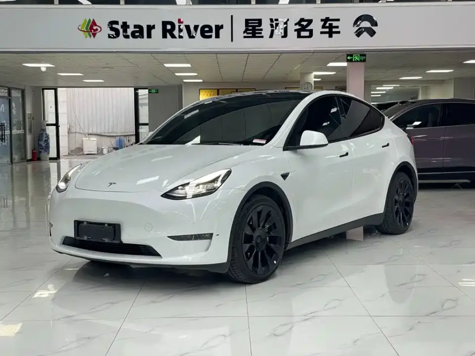 Tesla Model Y Model Long Range AWD 2021