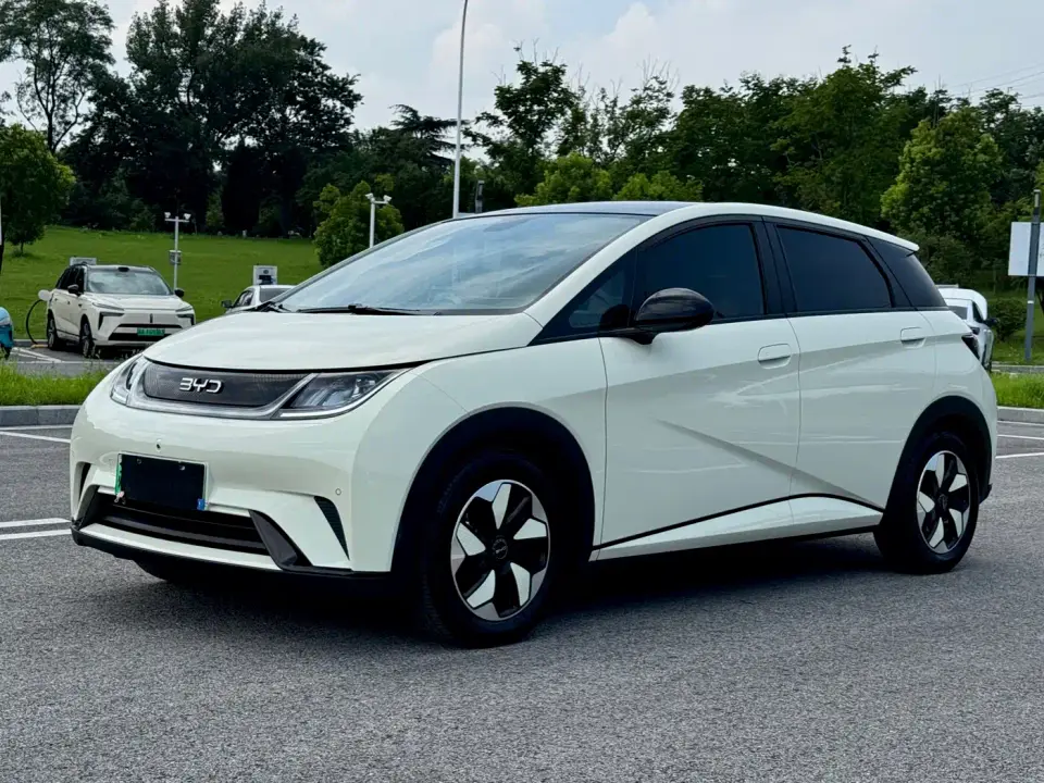 BYD Dolphin Glory Edition 420km Fashion Edition 2024