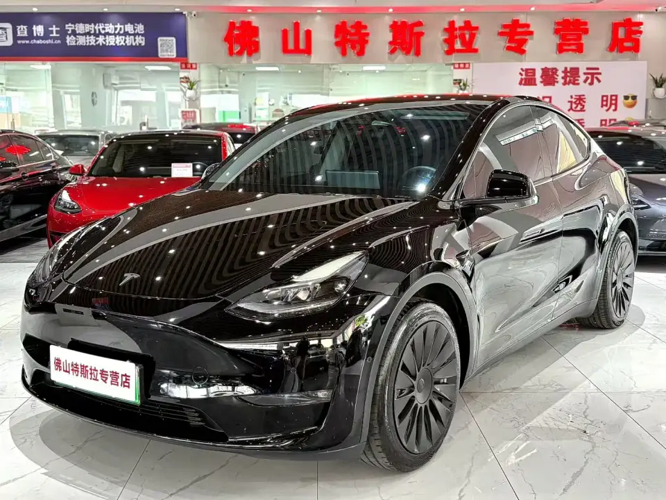 Tesla Model Y Model Long Range AWD 2021