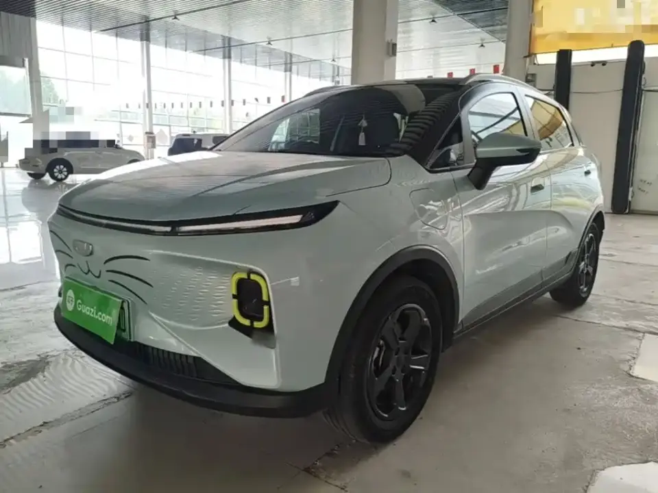 Geely Geometry E Firefly 401KM Delicate Tiger 4-seater 2024