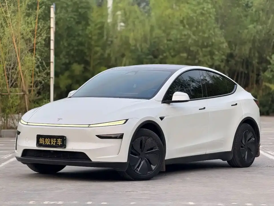 Tesla Model Y Rear-Wheel Drive 2025