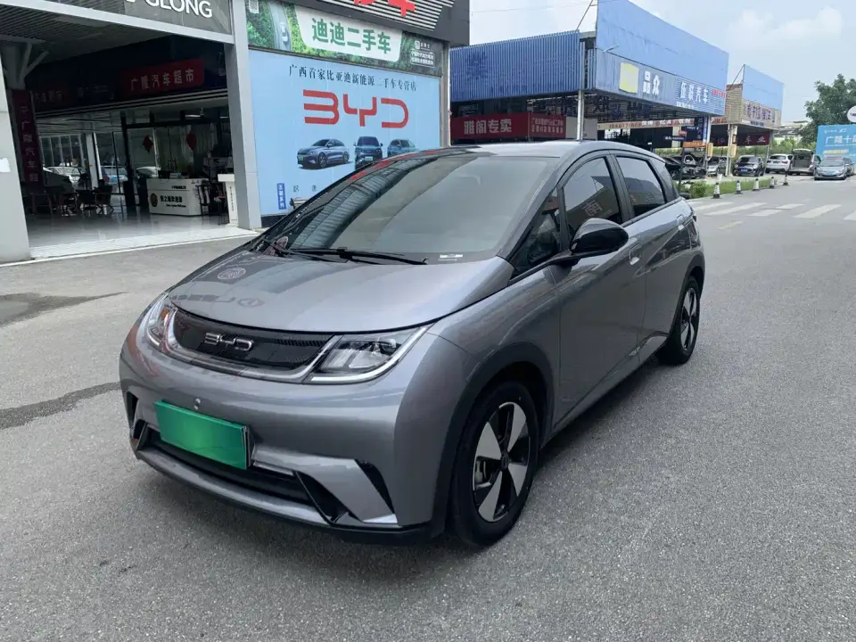 BYD Dolphin 420km Freedom Edition 2024