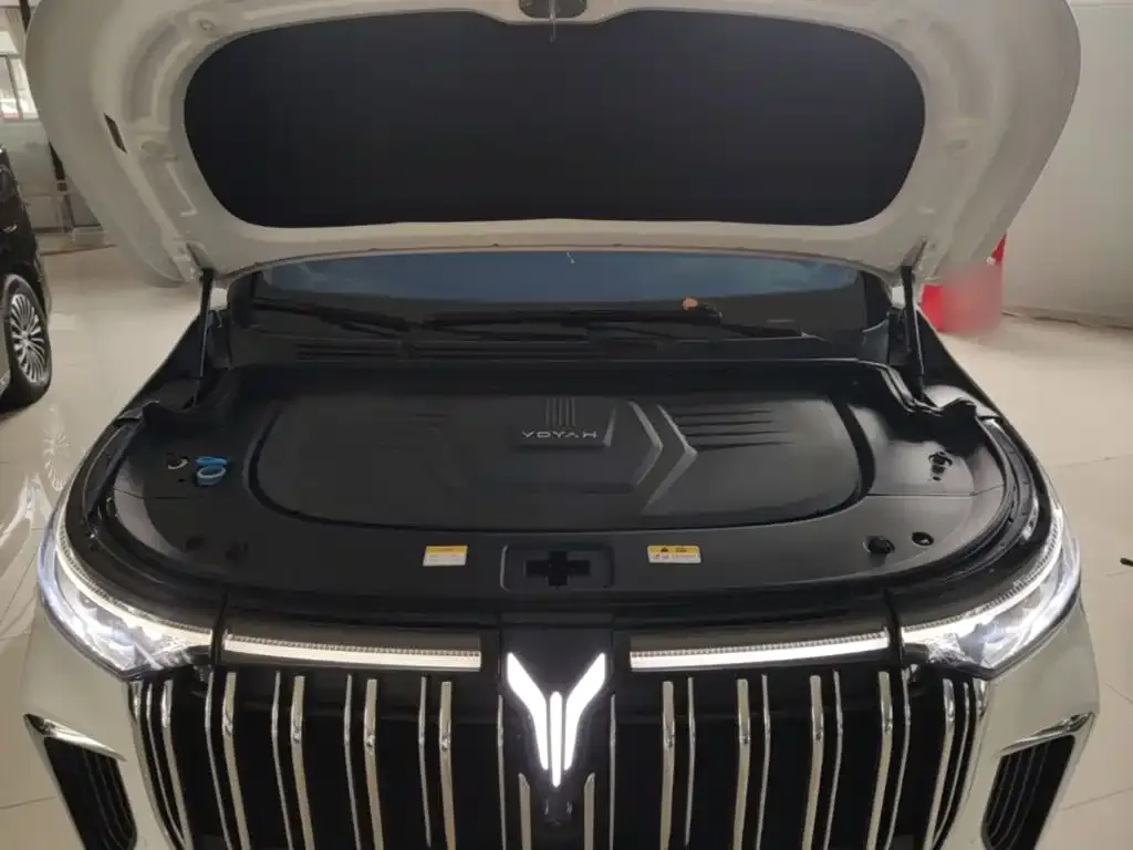 Voyah Auto Voyah Dreamer Low-carbon Dream+Smart Package 2024 — фото 20