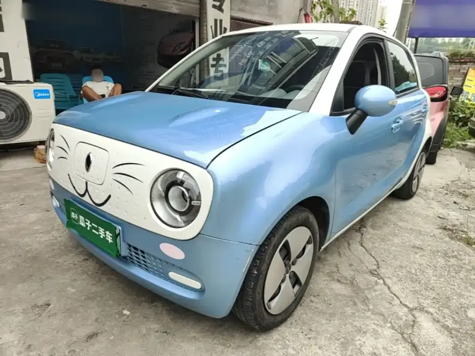 ORA Black Cat 301km Basic Model 2020
