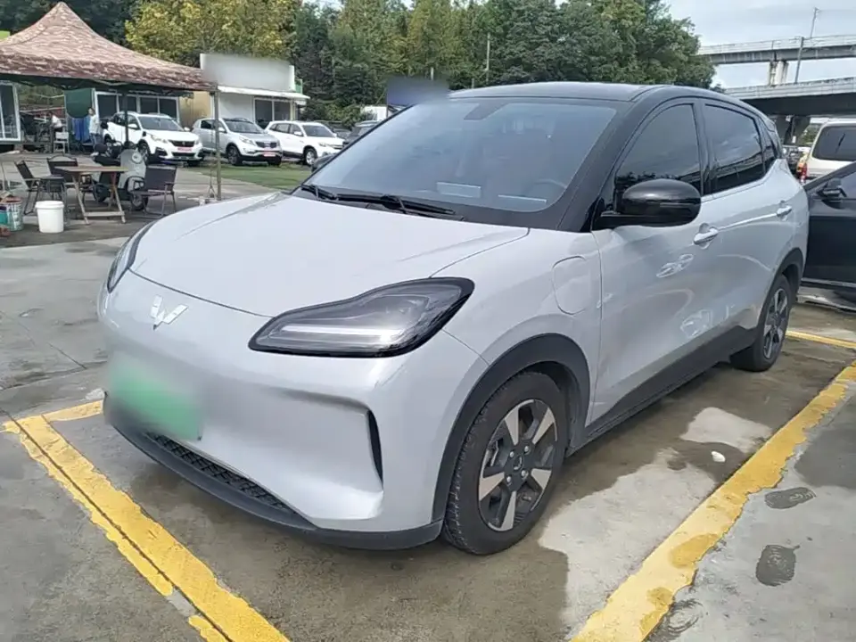 Wuling Motors Wuling Binguo PLUS Model 510km Flagship Edition 4-Seater 2024