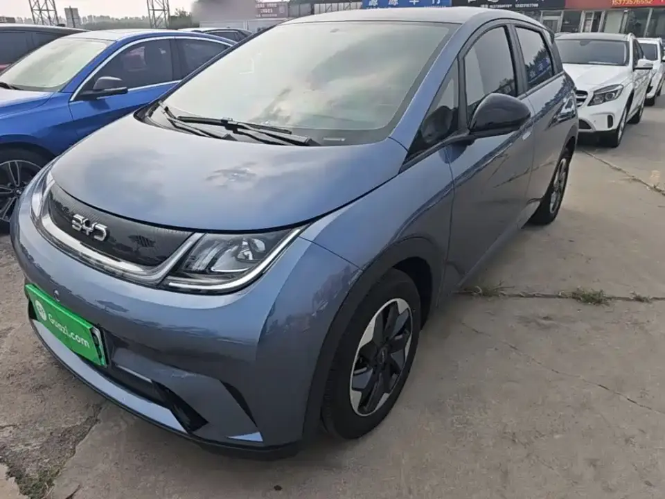 BYD Dolphin 420km Freedom Edition 2025