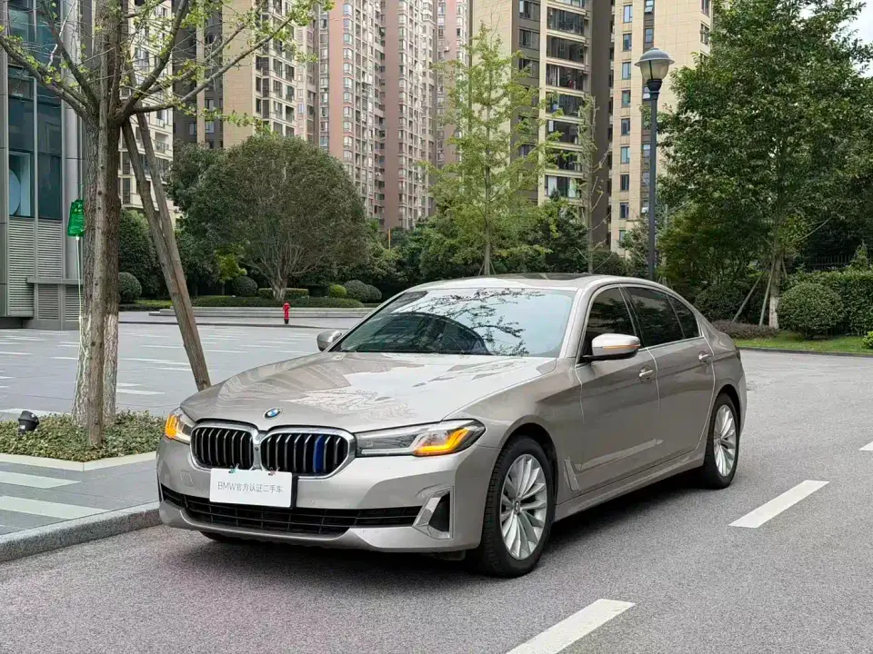 BMW 5 Series 525Li Luxury Package 2019