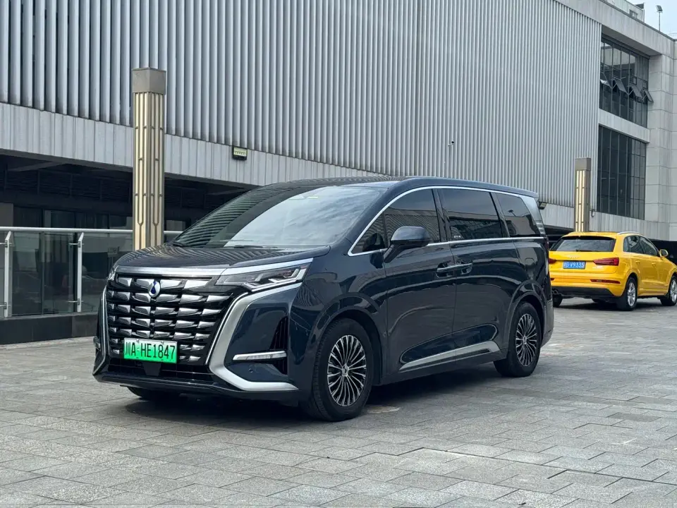 Denza D9 DM-i 1050 Premium 2024
