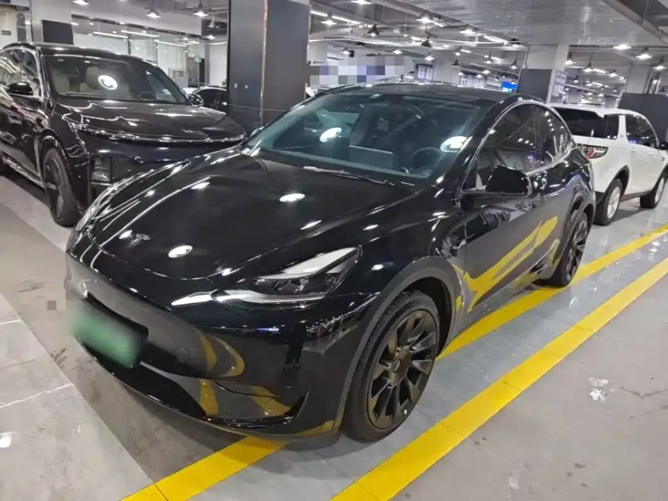 Tesla Model Y Rear-Wheel Drive Version 2022