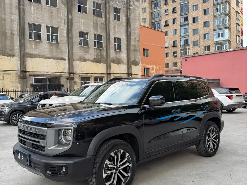 Haval Big Dog 1.5T DCT Border Collie Edition 2024