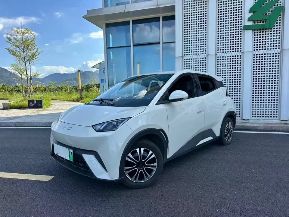 BYD Seagull Glory Edition 305km Vitality Edition 2024