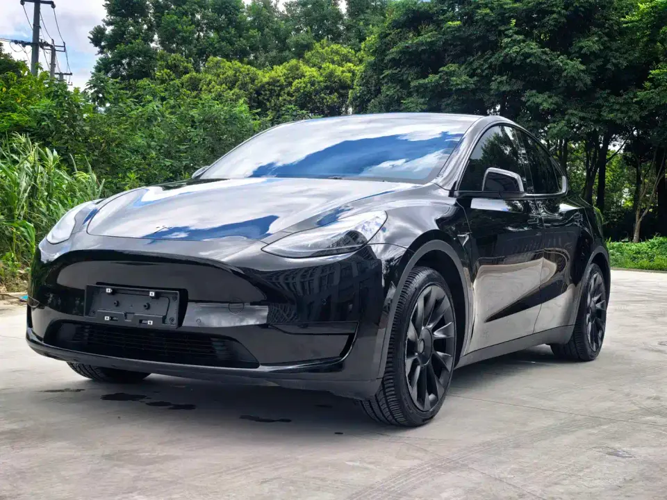 Tesla Model Y Rear-Wheel Drive Version 2022