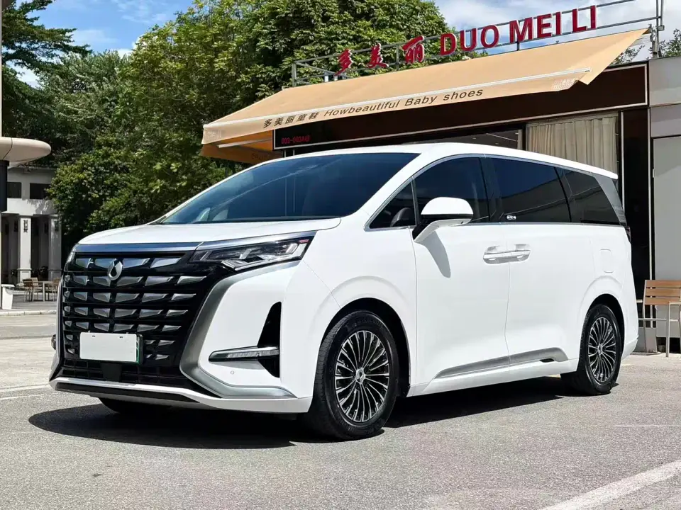 Denza D9 DM-i 1040 Premium 2023