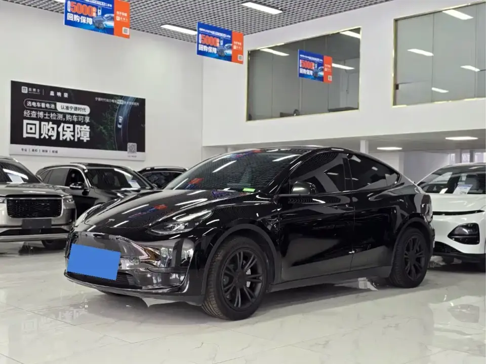 Tesla Model Y Rear-Wheel Drive Edition 2024