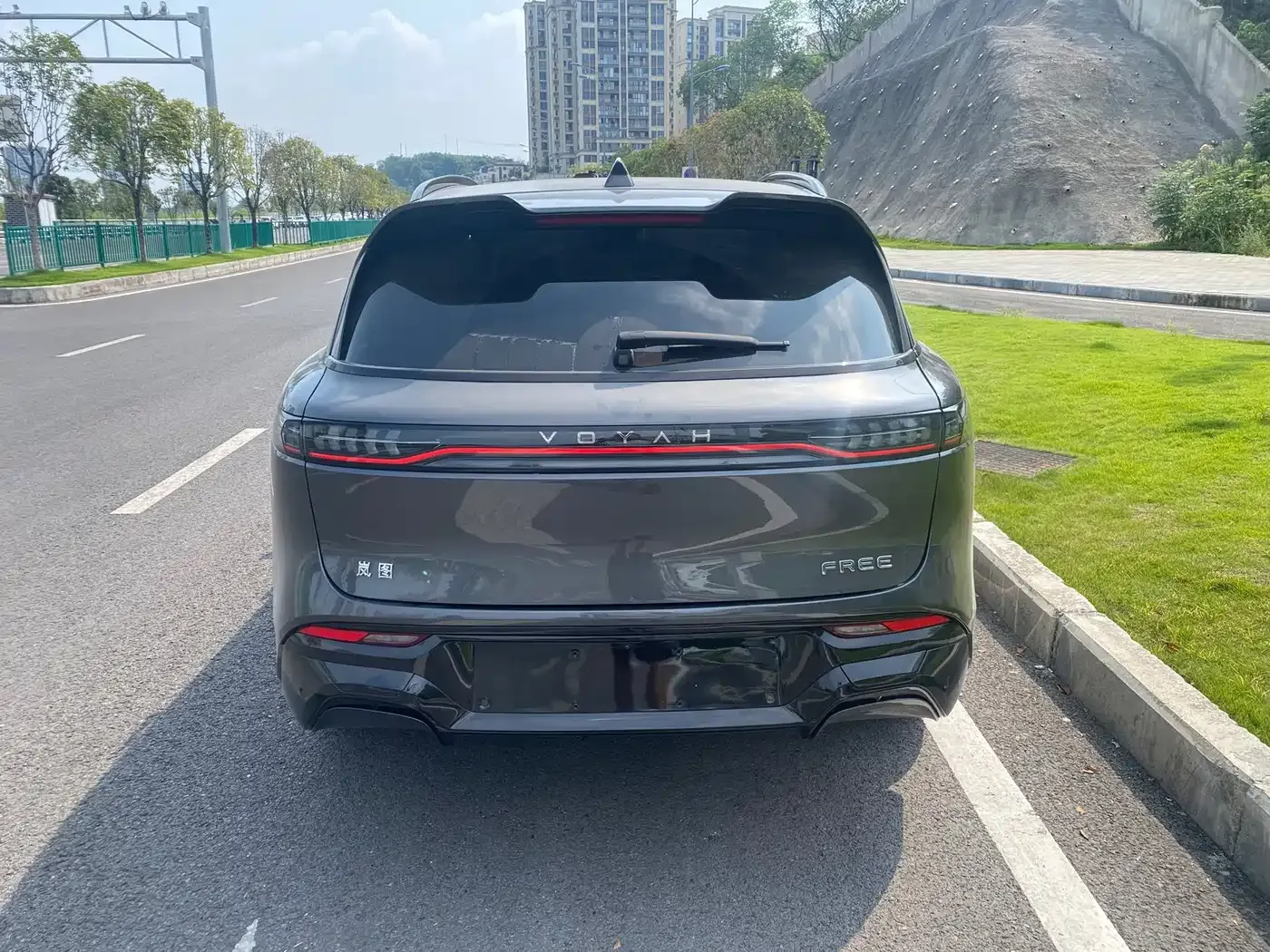 Voyah Auto VOYAH FREE 318 318km RWD Touring Edition 2025 — фото 8