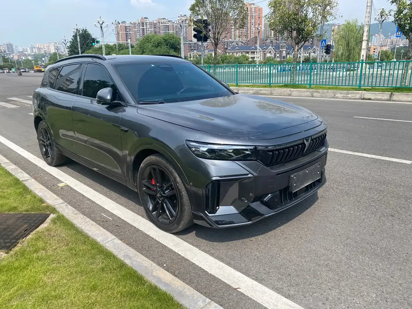 Voyah Auto VOYAH FREE 318 318km RWD Touring Edition 2025 — фото 3