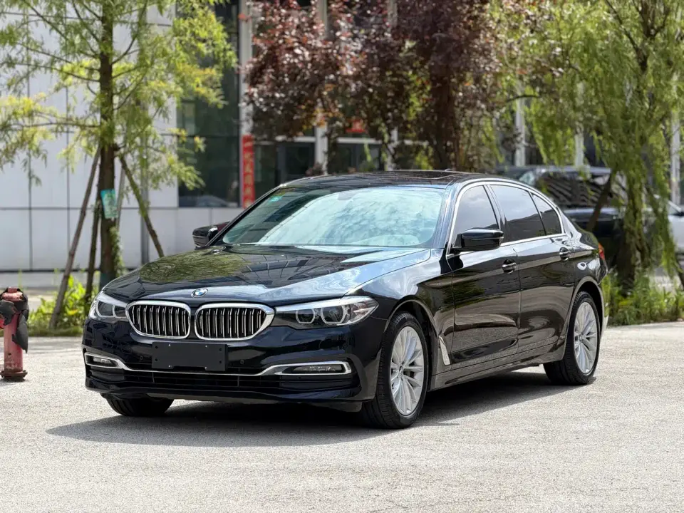 BMW 5 Series 530Li Leading Luxury Package 2019