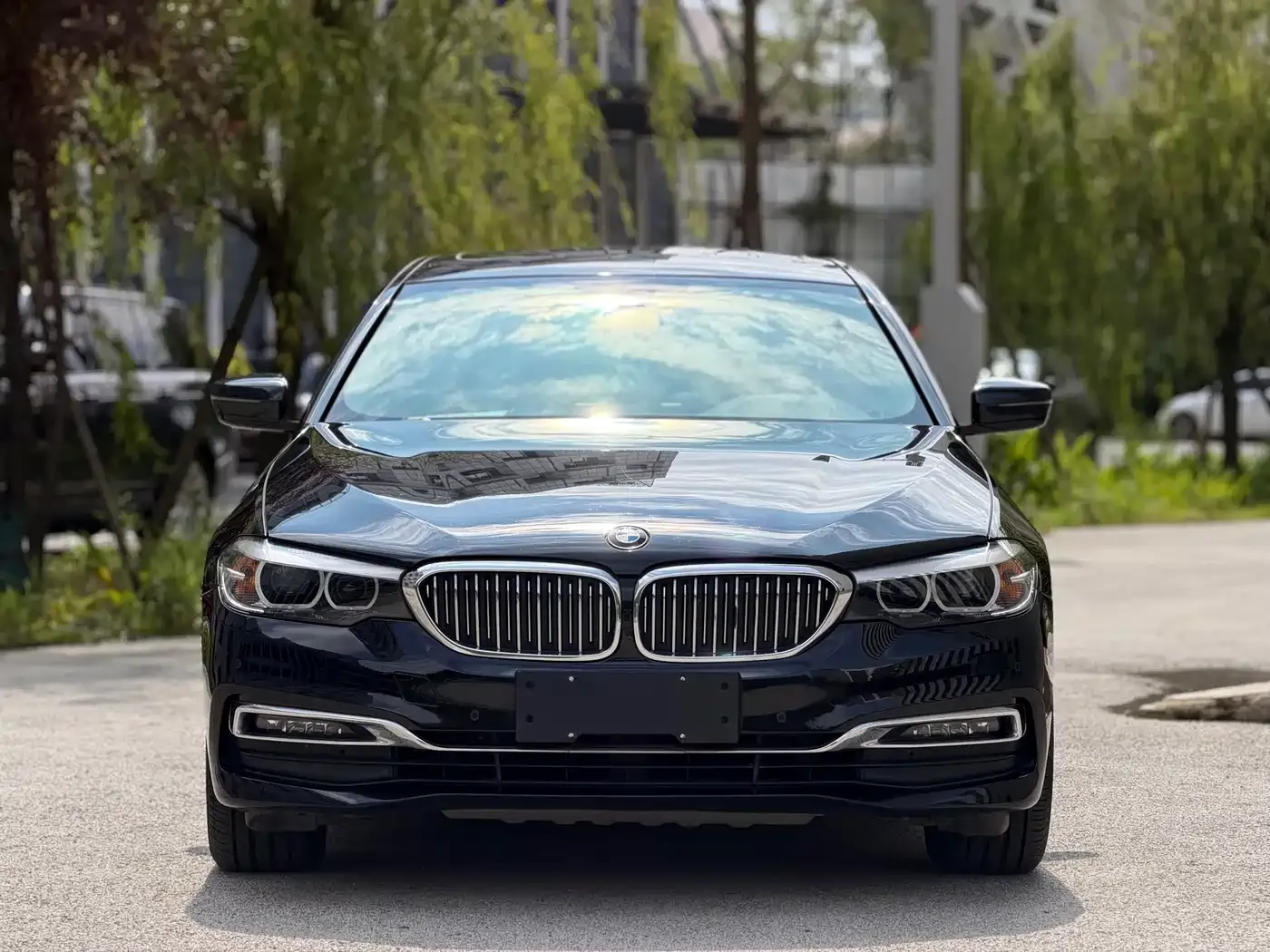 BMW 5 Series 530Li Leading Luxury Package 2019 — фото 2