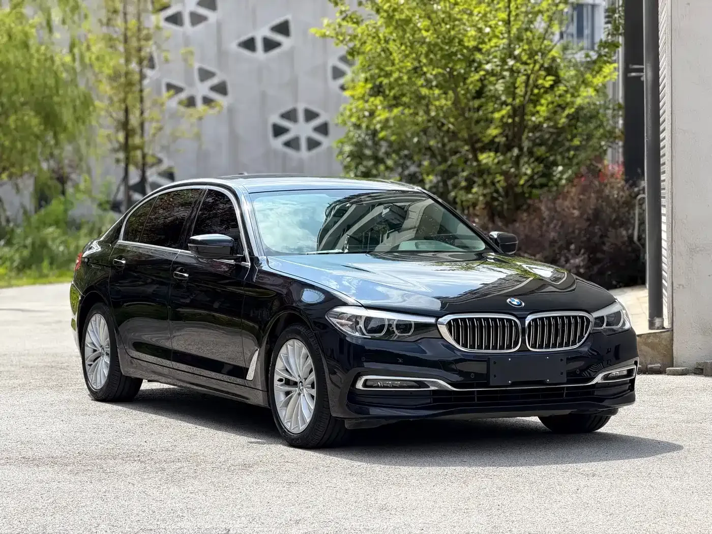 BMW 5 Series 530Li Leading Luxury Package 2019 — фото 3