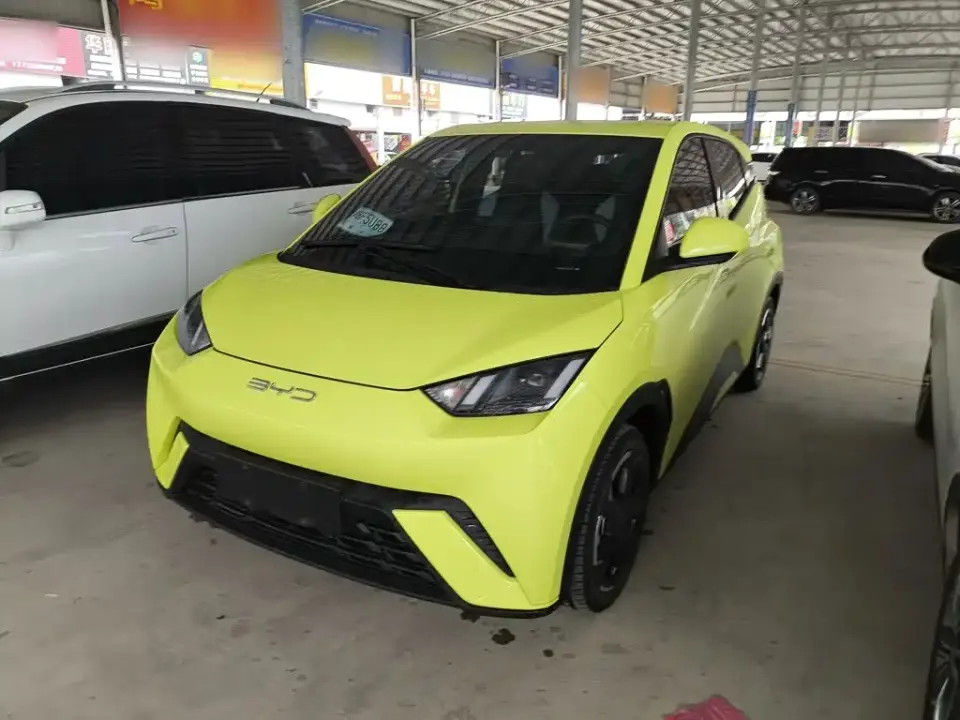 BYD Seagull Freedom Edition 2024