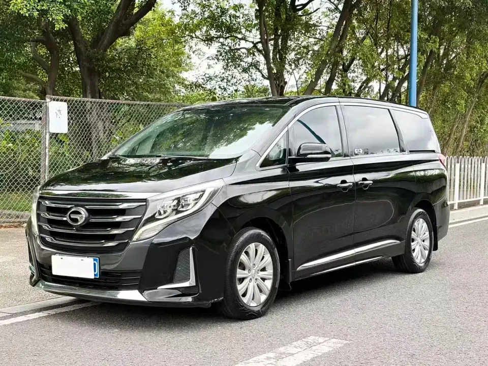 GAC Trumpchi M8 Pilot 390T Premium Edition 2020