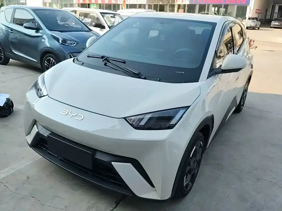 BYD Seagull 305km Freedom 2024