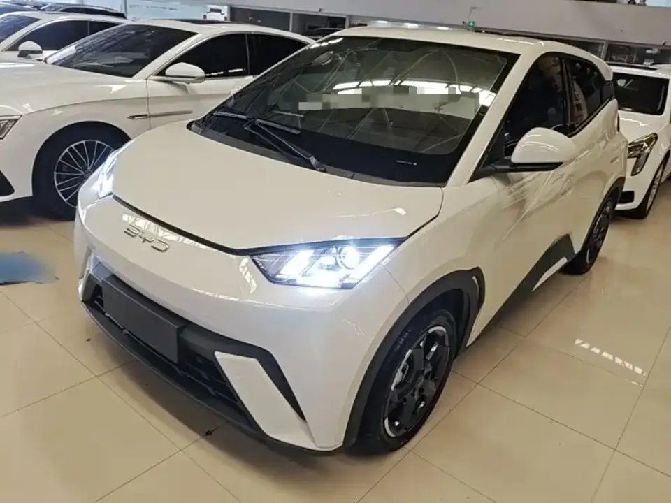 BYD Seagull Freedom Edition 2023
