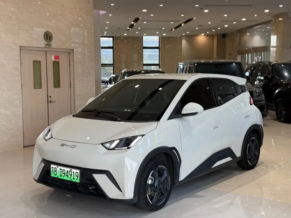 BYD Seagull Freedom Edition 2024