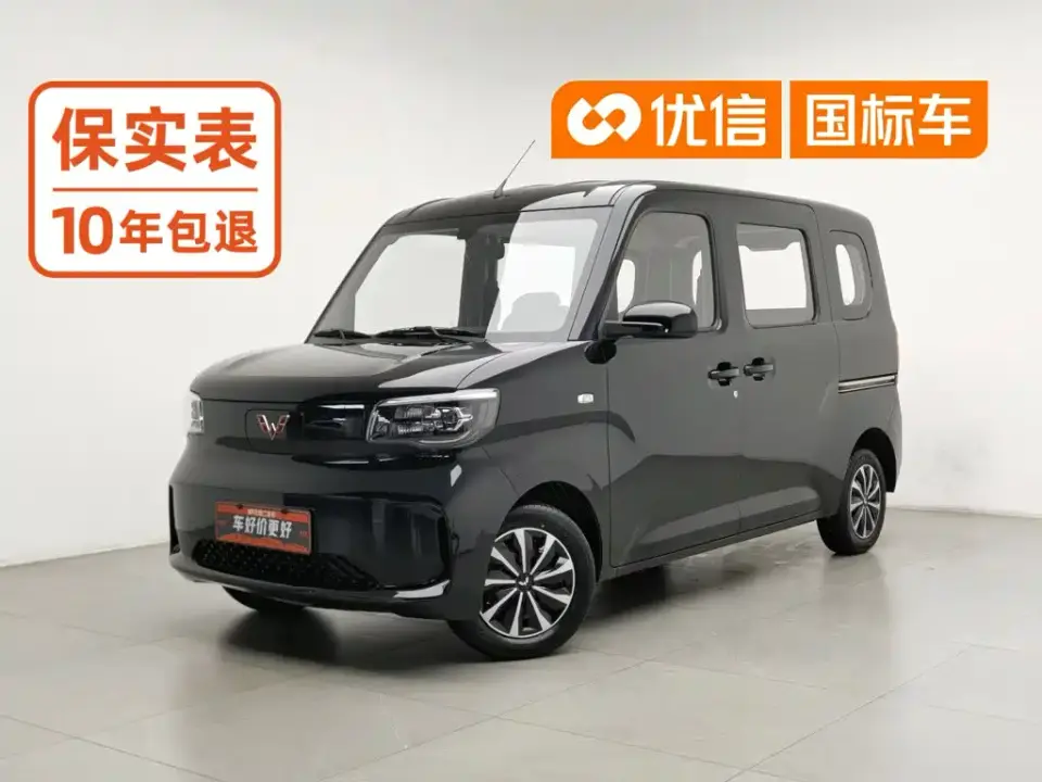 Wuling Motors Wuling Zhiguang NEV Standard Version 2025