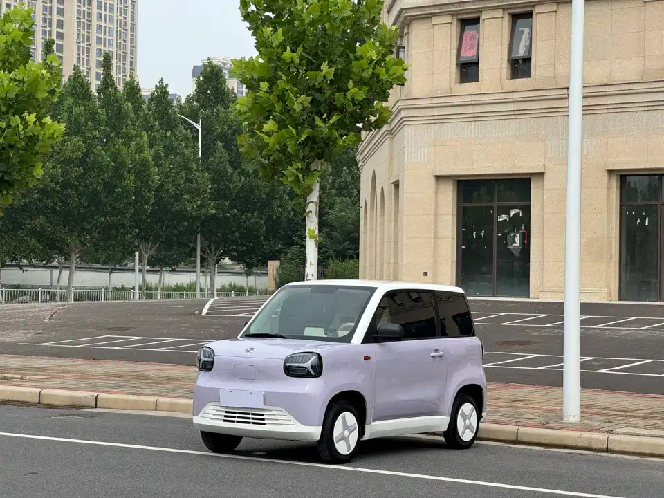 Zhido Rainbow Pro 205km Sunshine Edition 2025