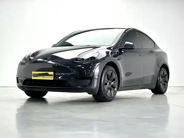 Tesla Model Y Rear-Wheel Drive Version 2024