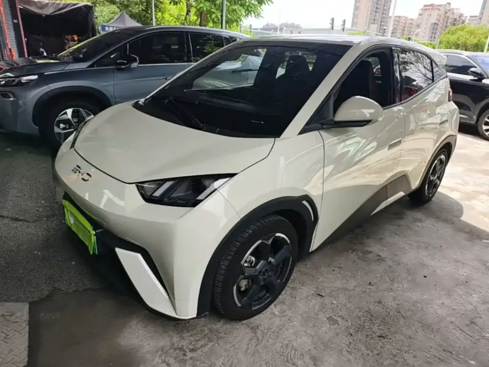 BYD Seagull Glory Edition 305km Freedom Edition 2024
