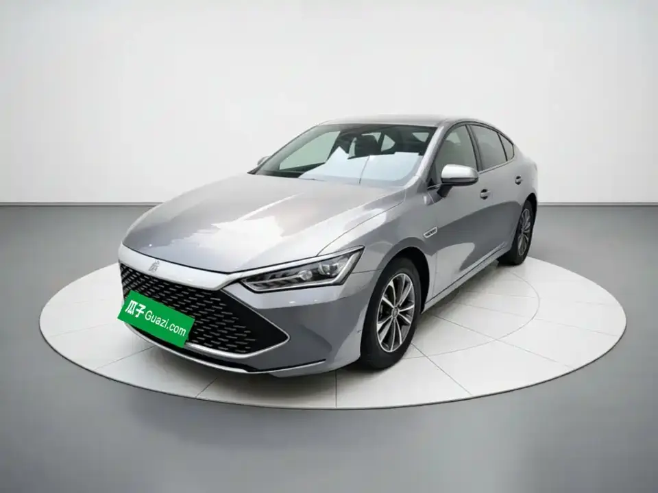 BYD Qin PLUS Champion Edition DM-i 55KM Leading 2024