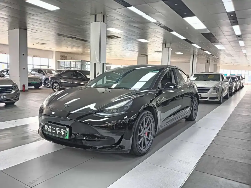 Tesla Model 3 Model Rear-Wheel Drive Version 2022