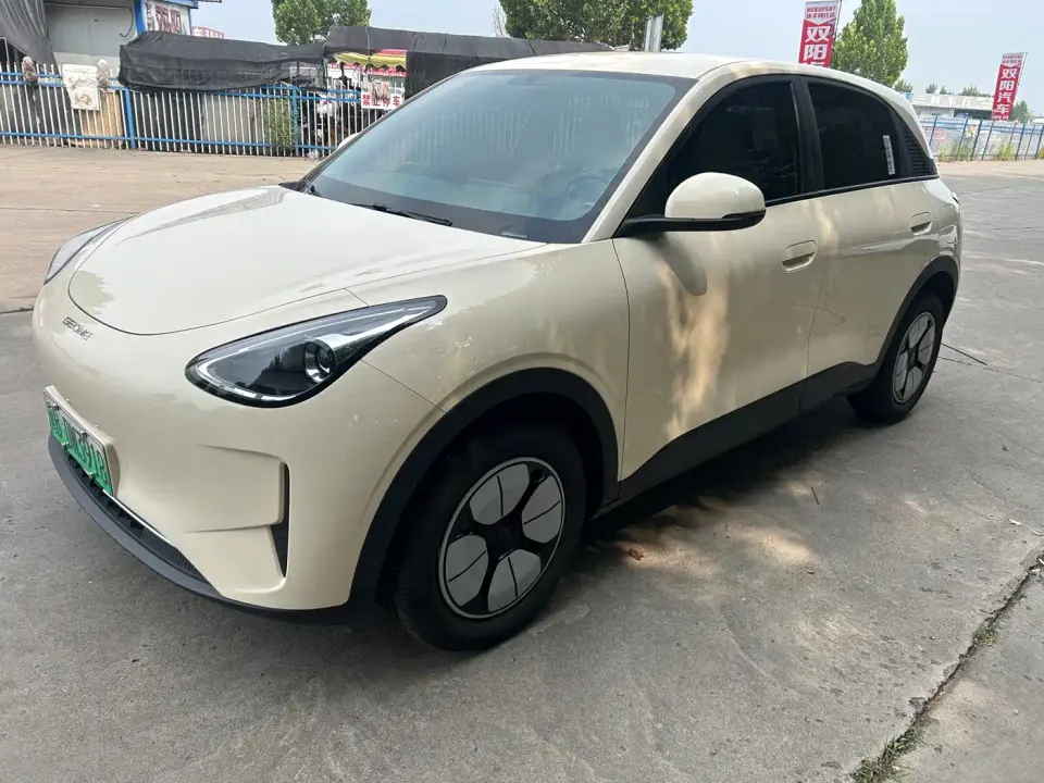 Geely Galaxy Starry Wish 310km Youth Edition 2025