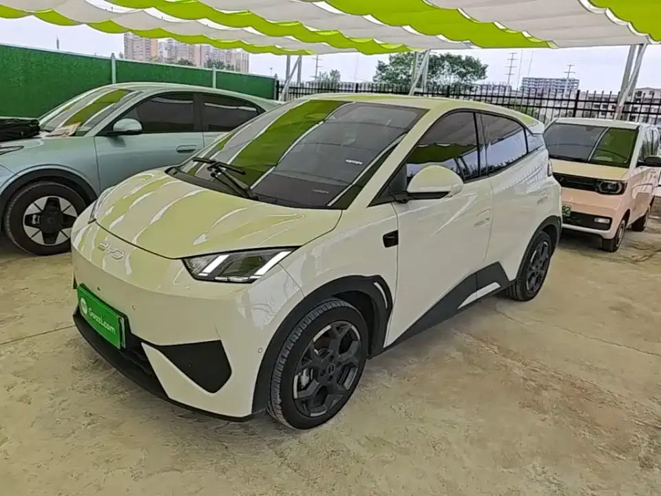 BYD Seagull Smart Drive Edition 305km Freedom Version 2025