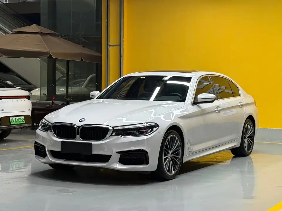BMW 5 Series 530Li Leading M Sport Package 2020