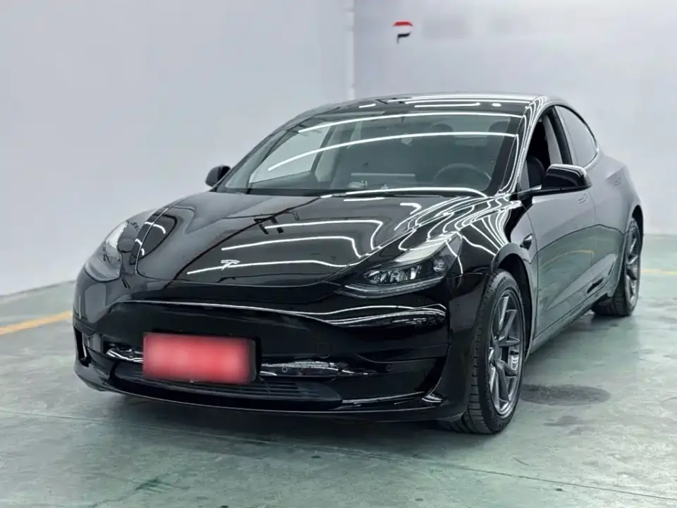 Tesla Model 3 Standard Range Rear-Wheel Drive Upgrade 3D6 2021