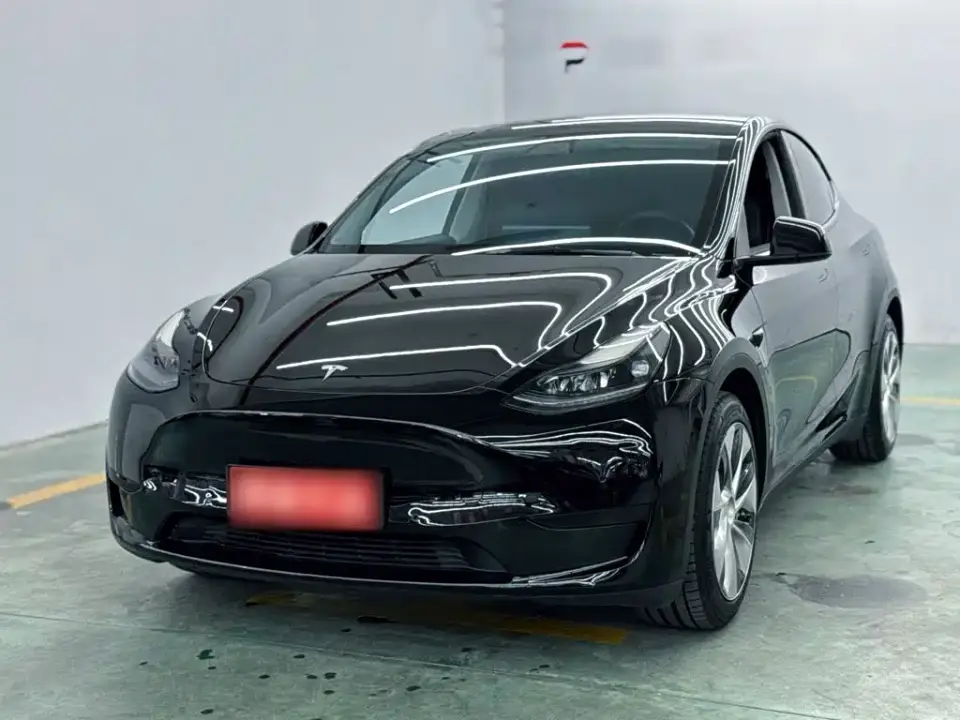 Tesla Model Y Standard Range Rear-Wheel Drive 2021