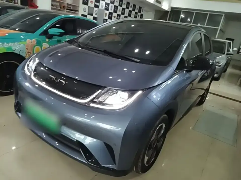 BYD Dolphin Glory Edition 420km Fashion Edition 2024