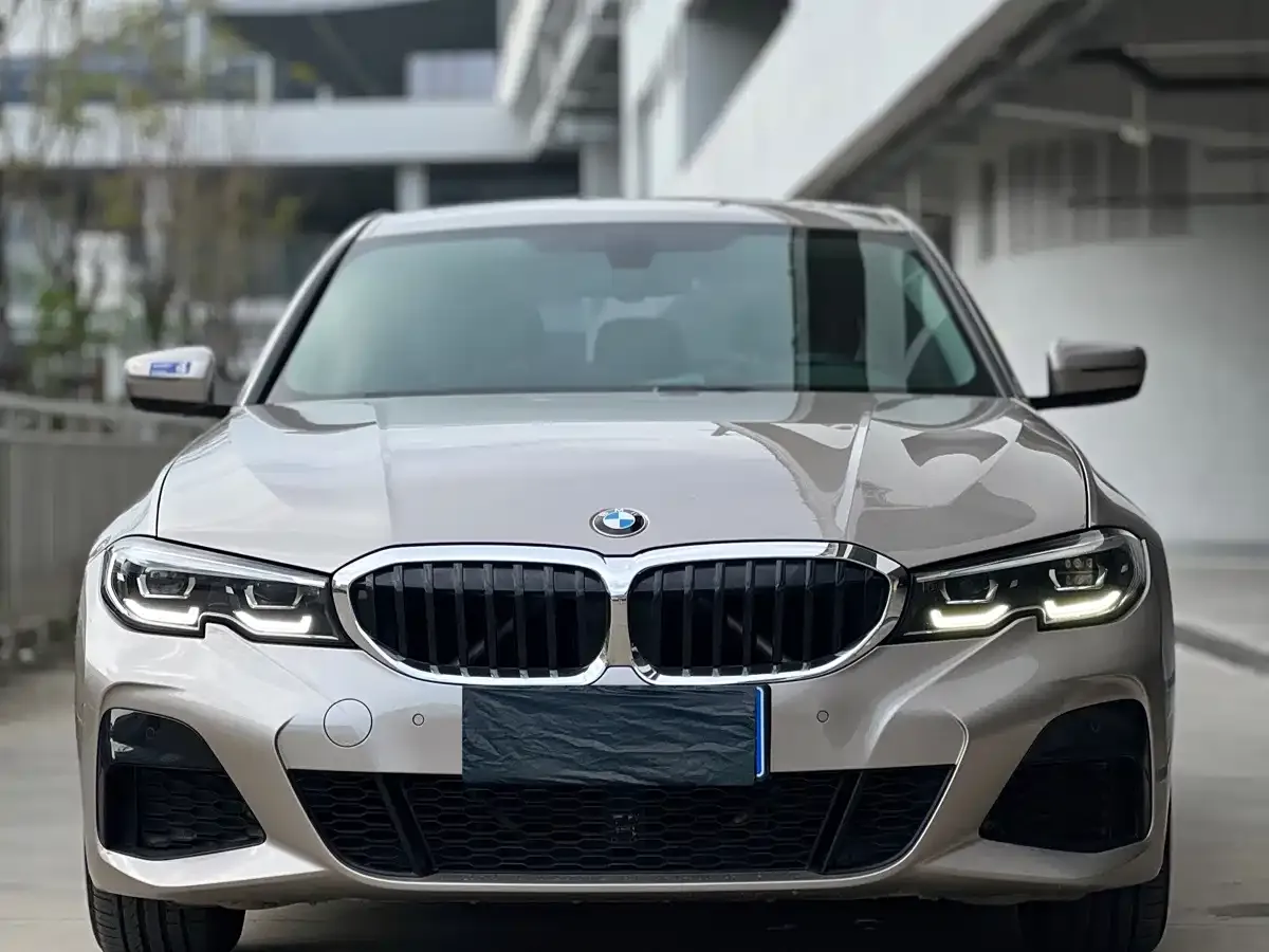 BMW 3 Series 320Li M Sport Package 2020 — фото 2